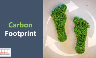 Report carbon footprint dei separatori in cartone ondulato e teso - Report delle Emissione CO2 anno 2023 Veronapack Srl